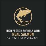 Purina Pro Plan Salmon & Rice Dog Food 5 lb