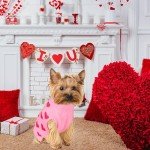 Valentine's Heart Sweater for Dogs - Pink X-Large