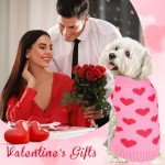 Valentine's Heart Sweater for Dogs - Pink X-Large