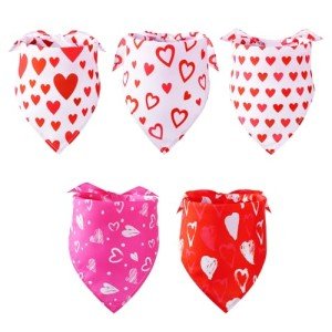 Valentine's Day Dog Bandanas - 5 Pack