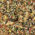 Kaytee Forti-Diet Conure & Lovebird Food 4 lb