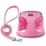 Reflective No-Pull Dog Harness & Leash Set