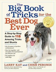 Dog Tricks Made Easy: 118 Fun Steps