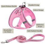 Reflective No-Pull Dog Harness & Leash Set