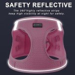 Reflective No-Pull Dog Harness & Leash Set