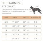 Reflective No-Pull Dog Harness & Leash Set