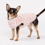 Cozy 2-Pack Striped Dog Sweaters - Winter Warmth