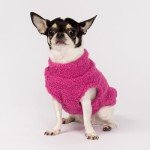Cozy 2-Pack Striped Dog Sweaters - Winter Warmth
