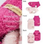 Cozy 2-Pack Striped Dog Sweaters - Winter Warmth