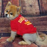 Kansas City Chiefs Dog T-Shirt - Small