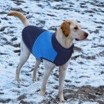 Warm Fleece Dog Sweater in Navy Blue