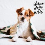 Liquid Bandage for Dogs - Remedy+Recovery