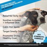 Pet Honesty Itch Relief Shampoo for Dogs & Cats