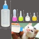 Colorful Feeding Set for Kittens, Puppies, and More
