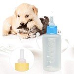 Colorful Feeding Set for Kittens, Puppies, and More