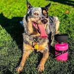 Portable Leak-Proof Dog Water Bottle for Travel