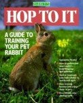Train Your Pet Rabbit: Easy Guide