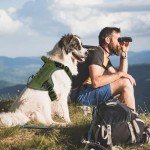 Tactical No-Pull Dog Harness with Handle for Large Dogs