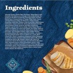 Blue Buffalo Wilderness High-Protein Grain-Free Cat Food