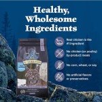 Blue Buffalo Wilderness High-Protein Grain-Free Cat Food