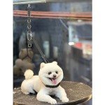 Grooming Loop Extension Straps for Dogs (Gray)