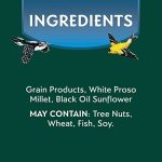 Morning Song Wild Bird Food Seed Mix, 7 lbs