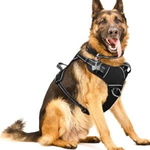 WINSEE No Pull Dog Harness with Collar and Handle