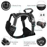 WINSEE No Pull Dog Harness with Collar and Handle