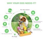 12 Pack Plush Squeaky and Chew Toys for Dogs