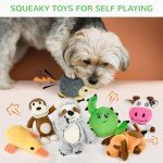 12 Pack Plush Squeaky and Chew Toys for Dogs