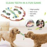 12 Pack Plush Squeaky and Chew Toys for Dogs