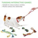 12 Pack Plush Squeaky and Chew Toys for Dogs