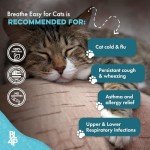 Natural Respiratory Relief for Cats - 400 Pills