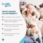 Natural Respiratory Relief for Cats - 400 Pills