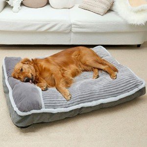 WINDRACING Soft Dog Bed with Pillow for Crates