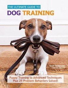 Complete Dog Training Guide for All Levels