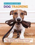 Complete Dog Training Guide for All Levels