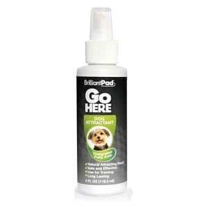 Puppy Potty Training Spray - Natural Attractant 4oz