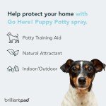 Puppy Potty Training Spray - Natural Attractant 4oz