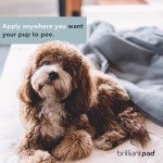 Puppy Potty Training Spray - Natural Attractant 4oz