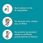 Rachael Ray Nutrish Dry Cat Food with Salmon