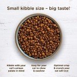 Rachael Ray Nutrish Dry Cat Food with Salmon