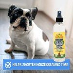 Bodhi Dog Potty Training Spray for Dogs & Puppies