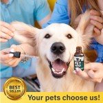 Charlie & Buddy Hemp Oil for Pet Relief