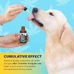 Charlie & Buddy Hemp Oil for Pet Relief