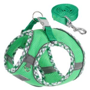 TomteNisse No-Pull Dog Harness and Leash Set