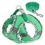 TomteNisse No-Pull Dog Harness and Leash Set