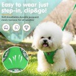 TomteNisse No-Pull Dog Harness and Leash Set