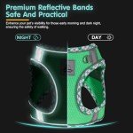 TomteNisse No-Pull Dog Harness and Leash Set