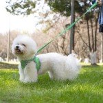 TomteNisse No-Pull Dog Harness and Leash Set